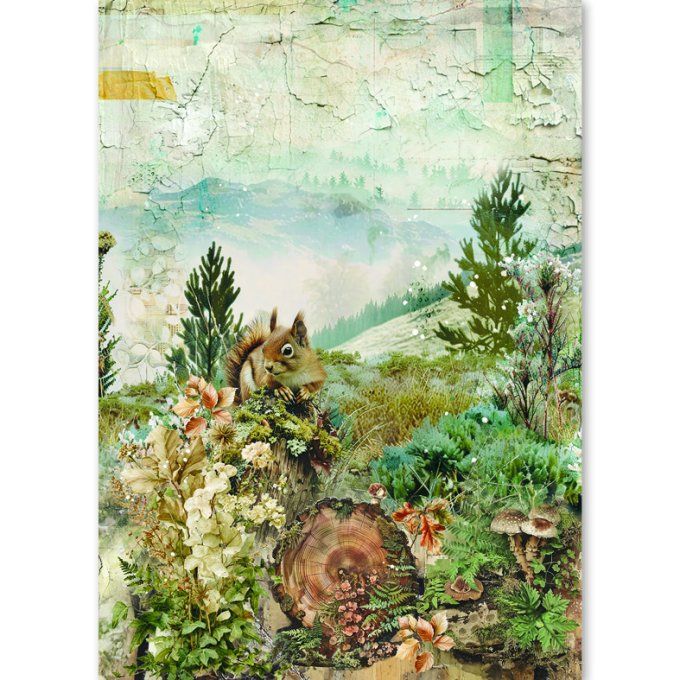 Ciao Bella, 8 Feuille de riz, Format A5 - The nature journal