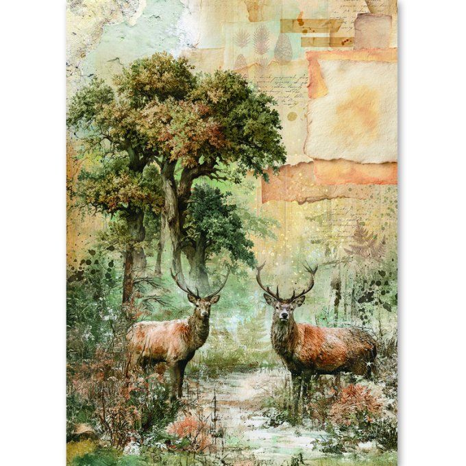 Ciao Bella, 8 Feuille de riz, Format A5 - The nature journal