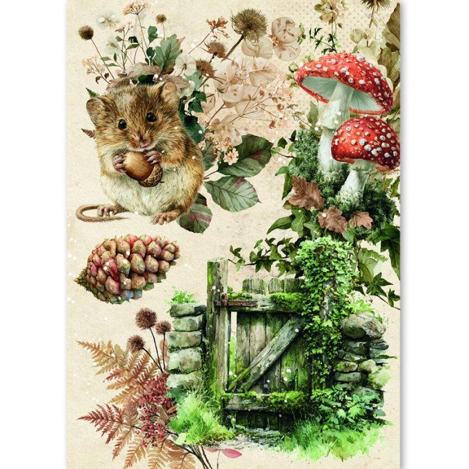 Ciao Bella, 8 Feuille de riz, Format A5 - The nature journal