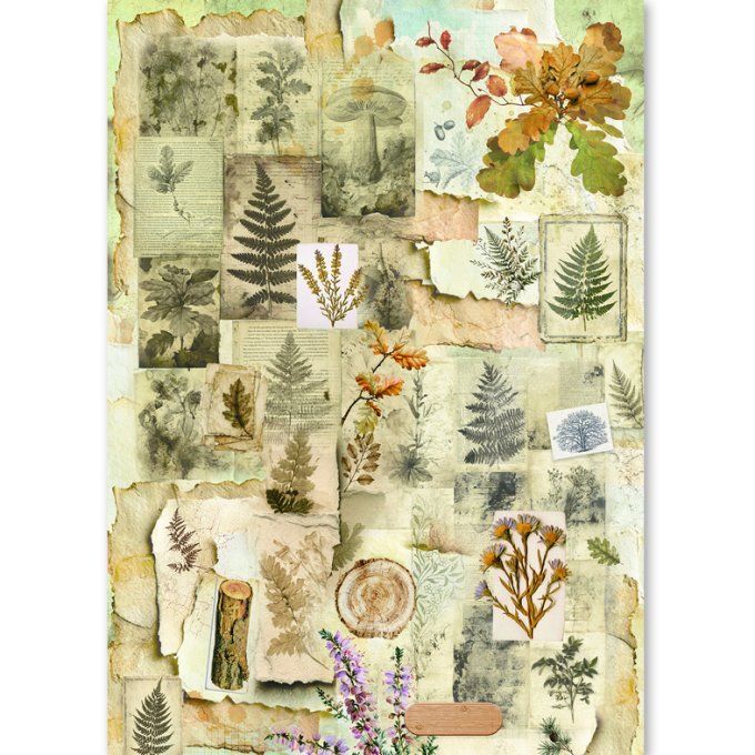 Ciao Bella, 8 Feuille de riz, Format A5 - The nature journal