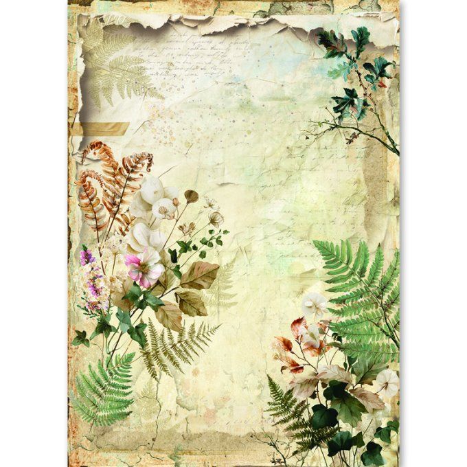 Ciao Bella, 8 Feuille de riz, Format A5 - The nature journal