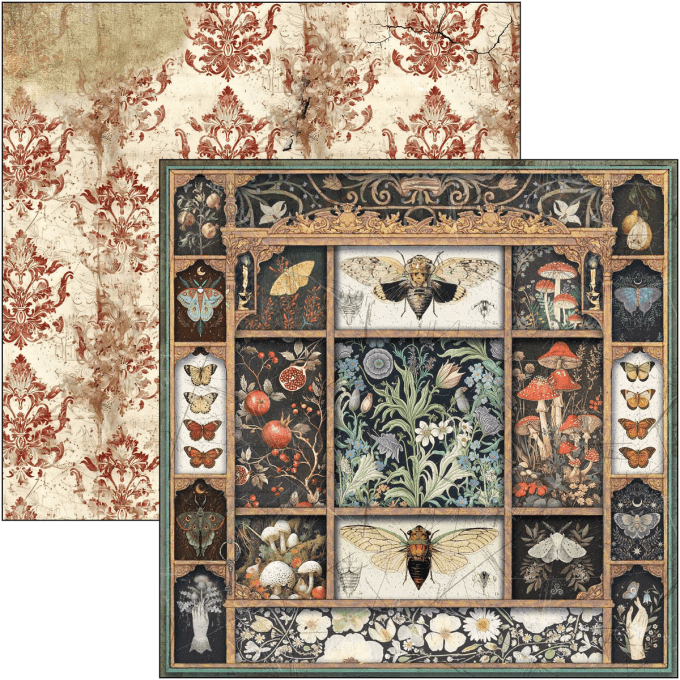Ciao Bella, collection Cabinet of curiosities, Patterns - 30x30cm - 8 feuilles - 190gsm
