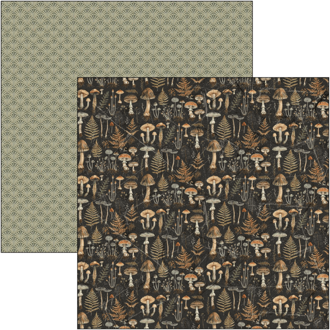 Ciao Bella, collection Cabinet of curiosities, Patterns - 30x30cm - 8 feuilles - 190gsm