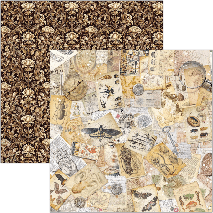 Ciao Bella, collection Cabinet of curiosities, Patterns - 30x30cm - 8 feuilles - 190gsm