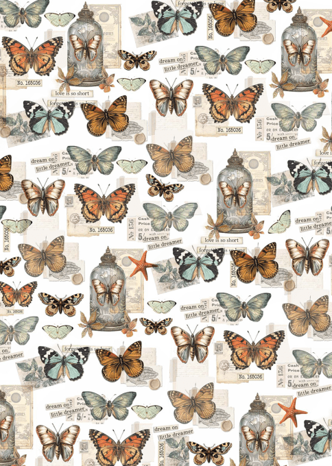 Ciao Bella, Papier vellum - collection Cabinet of curiosities,  Format A4 - 6 feuilles, 92g 