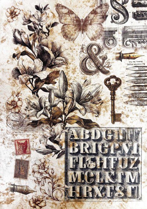 Deluxe paper & vellum, Ciao Bella, Typographic,  Format A4 environ