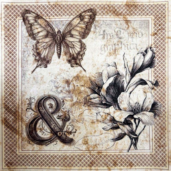 Deluxe paper & vellum, Ciao Bella, Typographic,  format 15x15cm environ - 6 feuilles