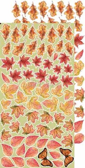 Ensemble de 12 feuilles, 15x30cm, collection : Autumn beauty - Craft O Clock - 250g