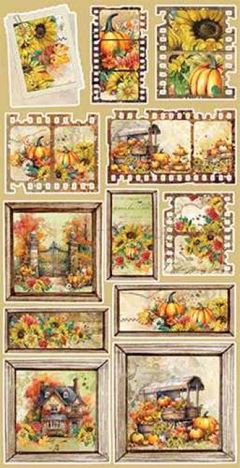 Ensemble de 12 feuilles, 15x30cm, collection : Autumn beauty - Craft O Clock - 250g - Women