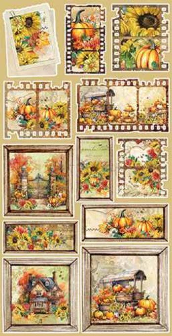 Ensemble de 12 feuilles, 15x30cm, collection : Autumn beauty - Craft O Clock - 250g - Women