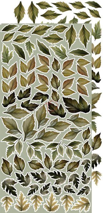 Ensemble de 18 feuilles, 15x30cm, collection : Heart of the sun, Craft O Clock, 250g