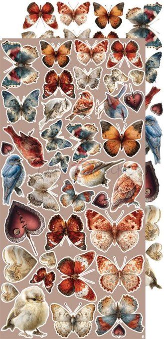 Ensemble de 18 feuilles, 15x30cm, collection : Timeless Grace, Craft O Clock, 250g