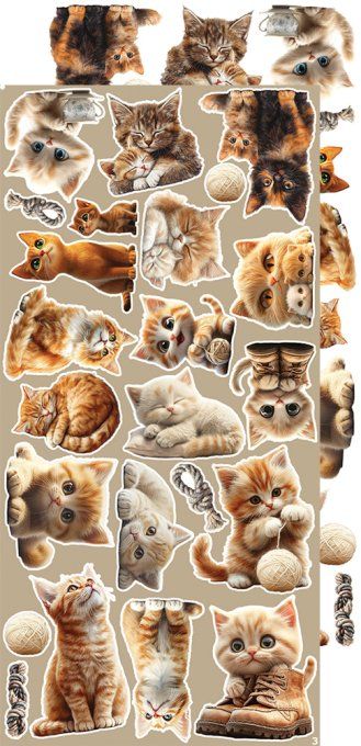 Ensemble de 18 feuilles, 15x30cm, collection : Cats, Craft O Clock, 250g - Extras