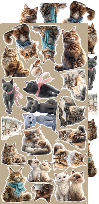 Ensemble de 18 feuilles, 15x30cm, collection : Cats, Craft O Clock, 250g - Extras