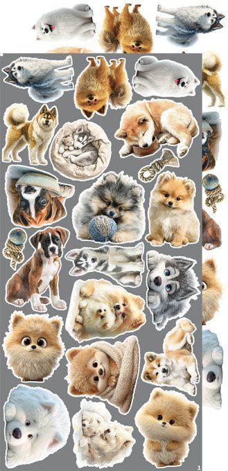 Ensemble de 18 feuilles, 15x30cm, collection : Dogs, Craft O Clock, 250g - Extras