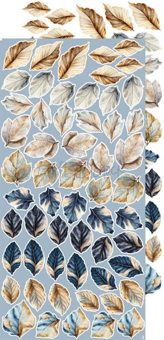 Ensemble de 18 feuilles, 15x30cm, collection : Melody of my soul, Craft O Clock, 250g