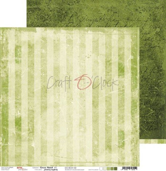Ensemble de 6 feuilles, 30x30cm, green mood - Craft O Clock  - motif recto verso - 250g