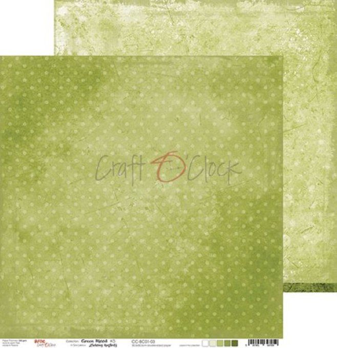Ensemble de 6 feuilles, 30x30cm, green mood - Craft O Clock  - motif recto verso - 250g