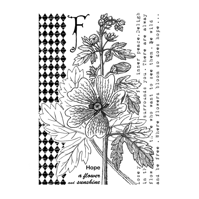 Tampon caoutchouc NON MONTE - Crafty Individuals, F is for flower - dim. : 13.5x9.5cm env. 
