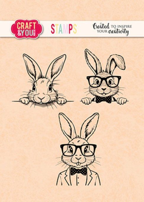 3 tampons clear, Funny bunnies, Dim. de la planche : 6.5x13.5cm