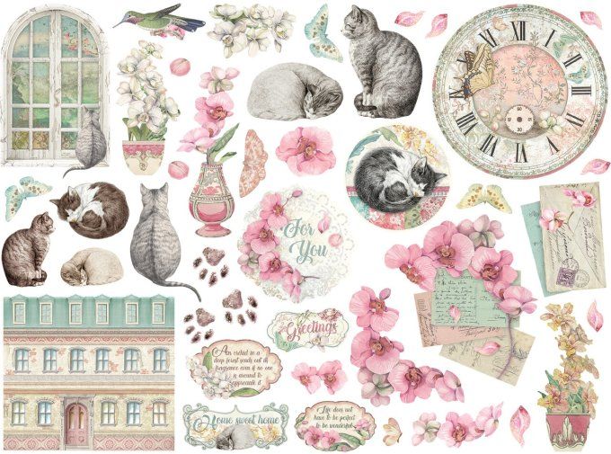 Die-cuts, collection : Orchids and cats - Stamperia