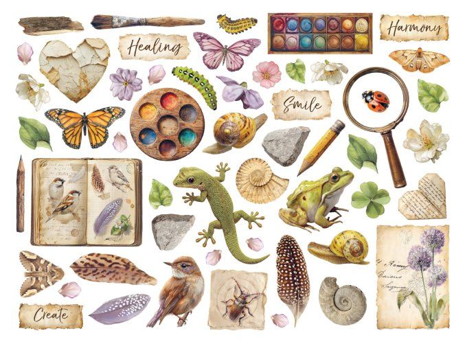 Die-cuts cartonnés, collection : All around