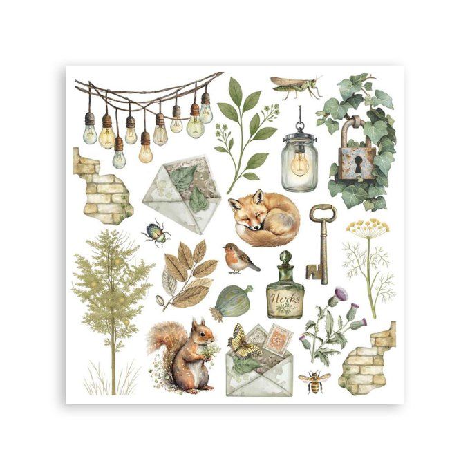 Stamperia, 6 Planches de rub-on format 15.5x15.5cm : Herbarium Silvae