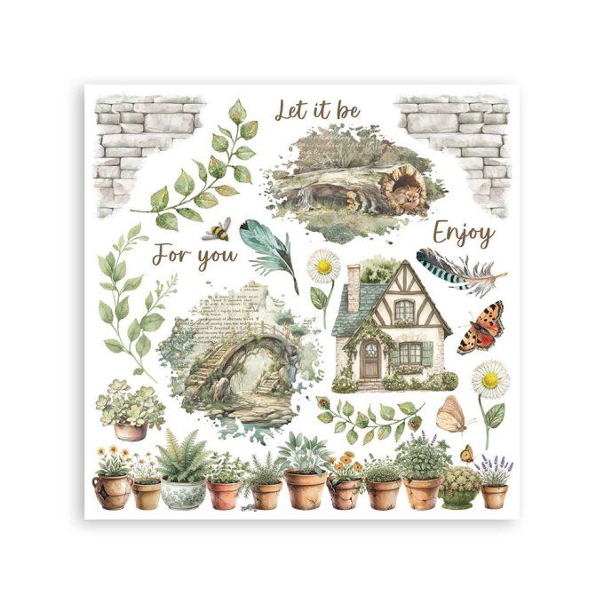 Stamperia, 6 Planches de rub-on format 15.5x15.5cm : Herbarium Silvae