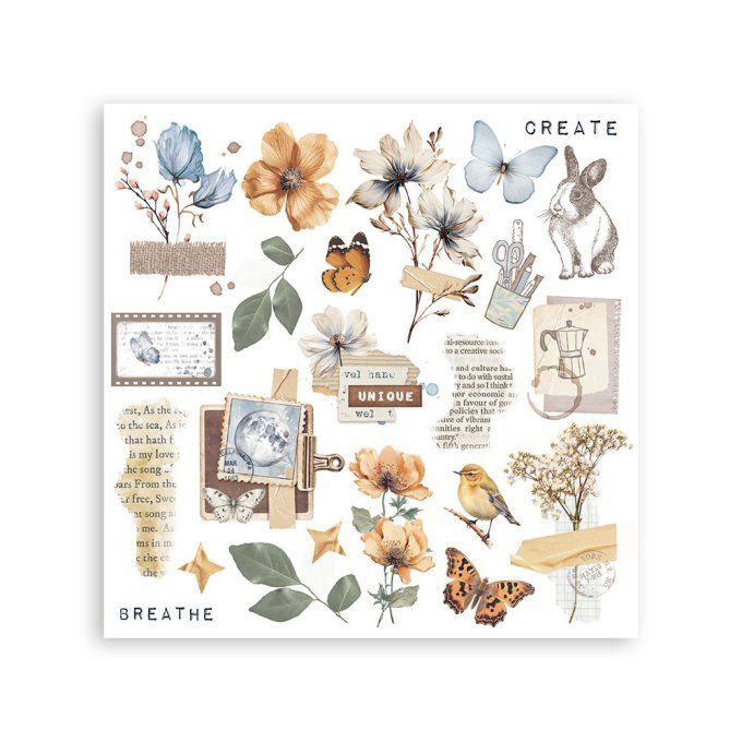 Stamperia, 6 Planches de rub-on format 15.5x15.5cm : Secret diary