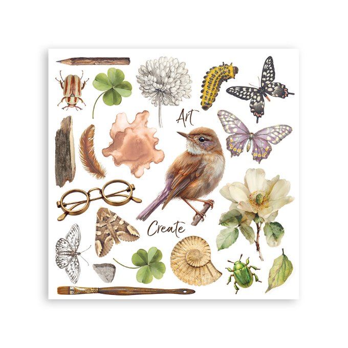 Stamperia, 6 Planches de rub-on format 15.5x15.5cm : All around