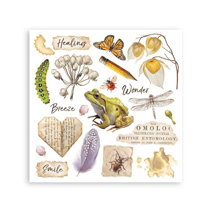 Stamperia, 6 Planches de rub-on format 15.5x15.5cm : All around