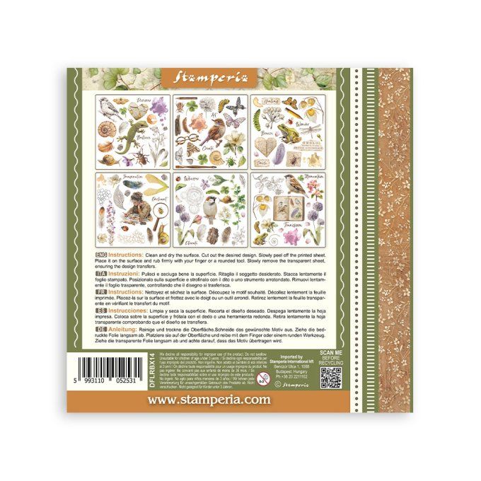 Stamperia, 6 Planches de rub-on format 15.5x15.5cm : All around
