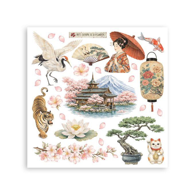 Stamperia, 6 Planches de rub-on format 15.5x15.5cm : Oriental garden