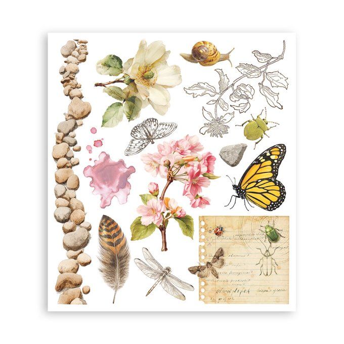 Stamperia, 6 Planches de rub-on format 20.5x23cm : All around