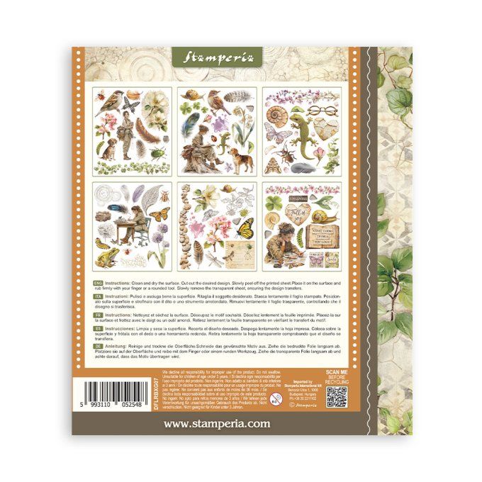 Stamperia, 6 Planches de rub-on format 20.5x23cm : All around