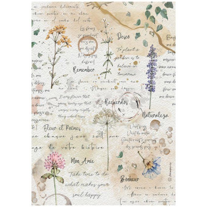 6 Feuilles de riz, Stampéria, Format A4 - Flowers and Poems