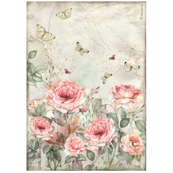 6 Feuilles de riz, Stampéria, Format A4 - House of roses