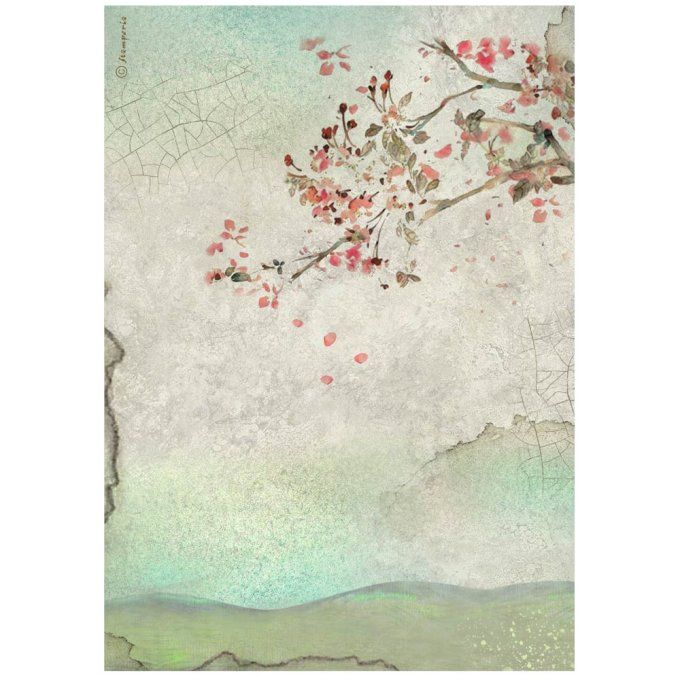 6 Feuilles de riz, Stampéria, Format A4 - House of roses