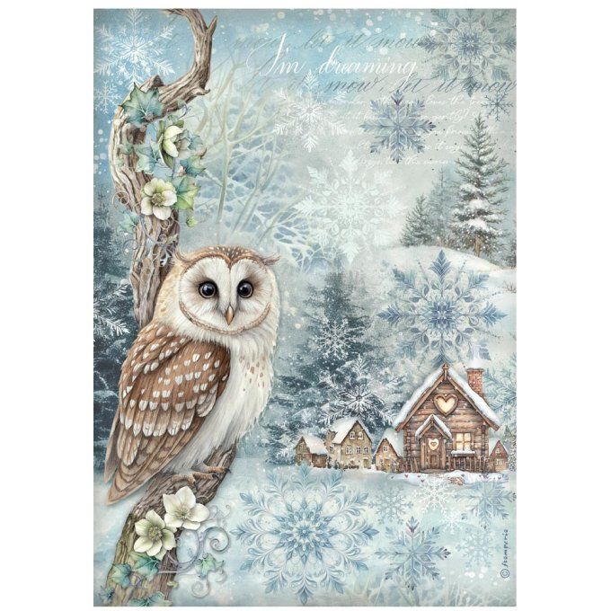 6 Feuilles de riz, Stampéria, Format A4 - The Owl's house