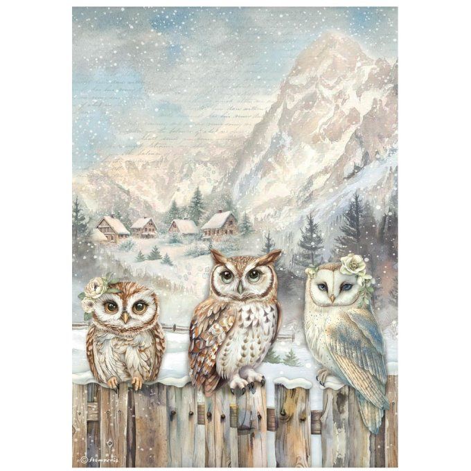 6 Feuilles de riz, Stampéria, Format A4 - The Owl's house
