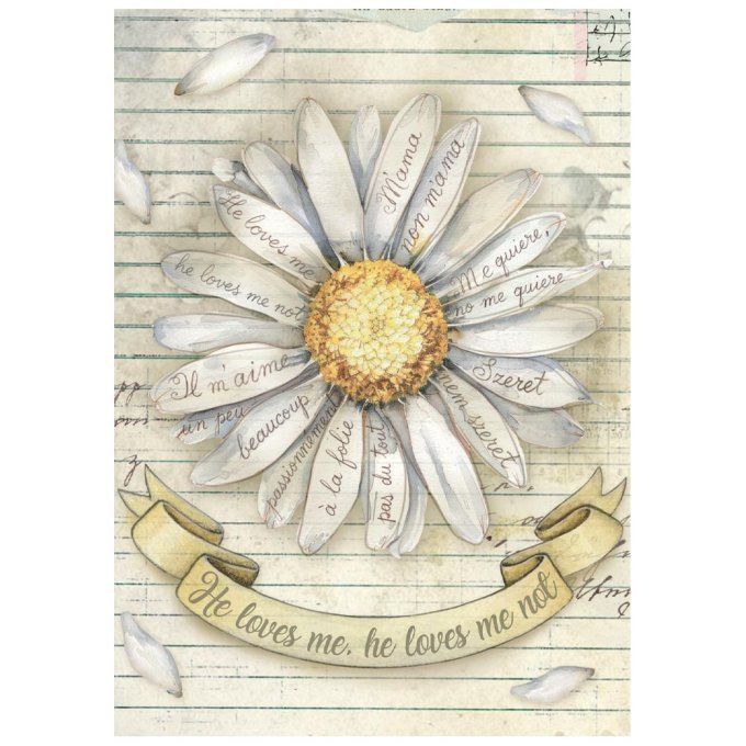 8 Feuilles de riz, Stampéria, Format A6 (10.5x14.8cm) - Daisy Art