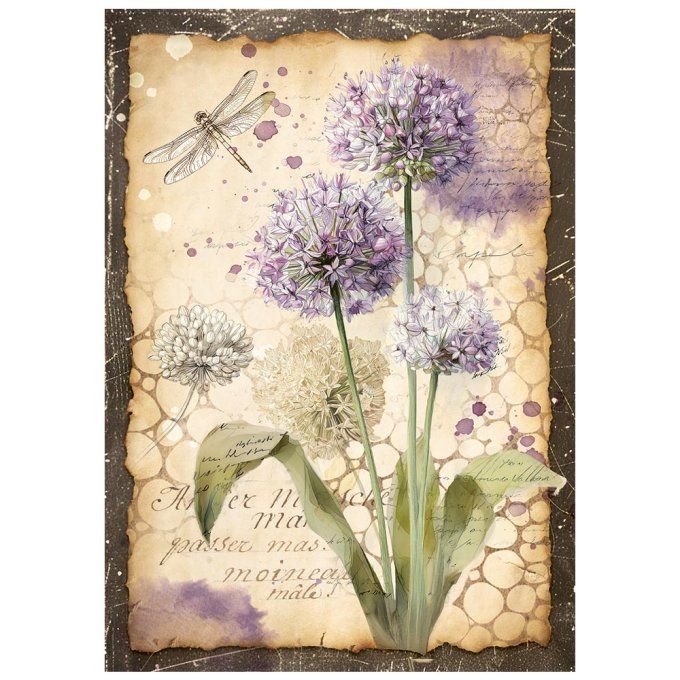 8 Feuilles de riz, Stampéria, Format A6 (10.5x14.8cm) - All around
