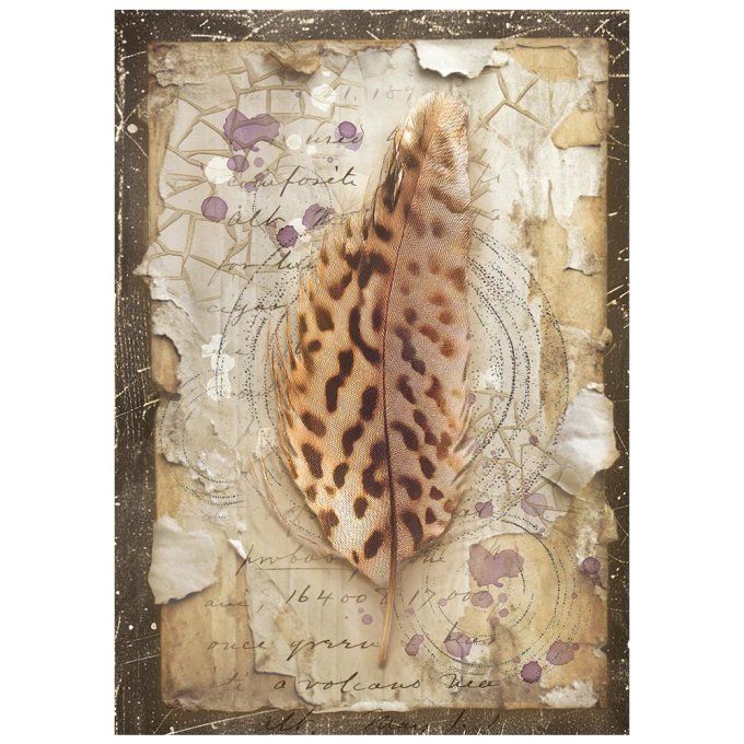 8 Feuilles de riz, Stampéria, Format A6 (10.5x14.8cm) - All around