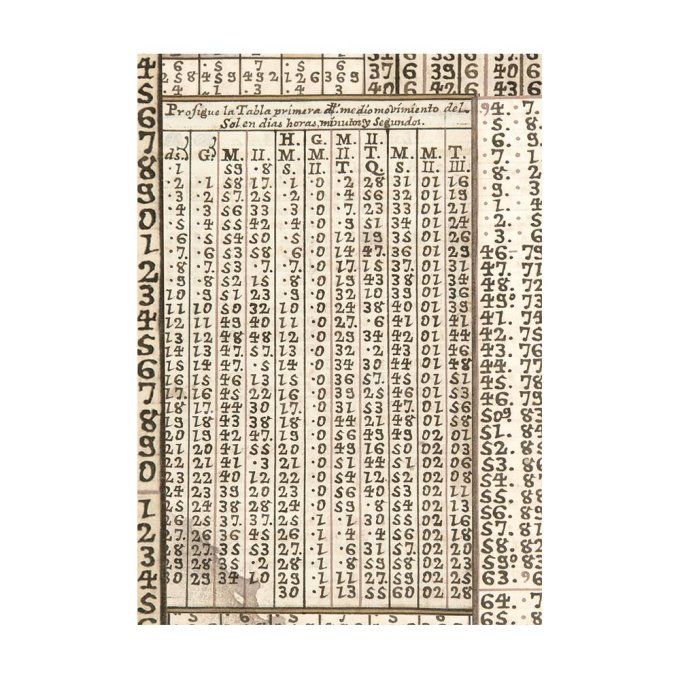 8 Feuilles de riz, Stampéria, Format A6 (10.5x14.8cm) - Fortune