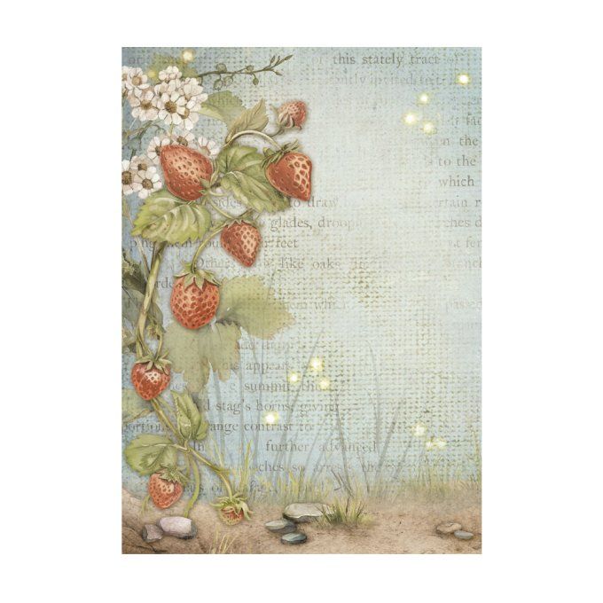 8 Feuilles de riz, Stampéria, Format A6 (10.5x14.8cm) - Hidden Grove