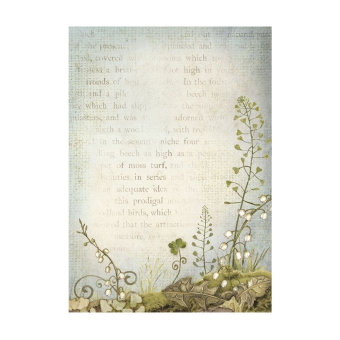 8 Feuilles de riz, Stampéria, Format A6 (10.5x14.8cm) - Hidden Grove