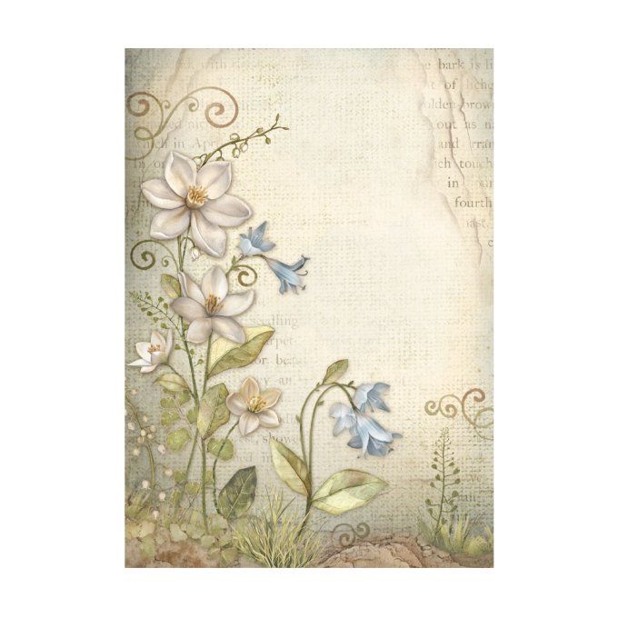 8 Feuilles de riz, Stampéria, Format A6 (10.5x14.8cm) - Hidden Grove