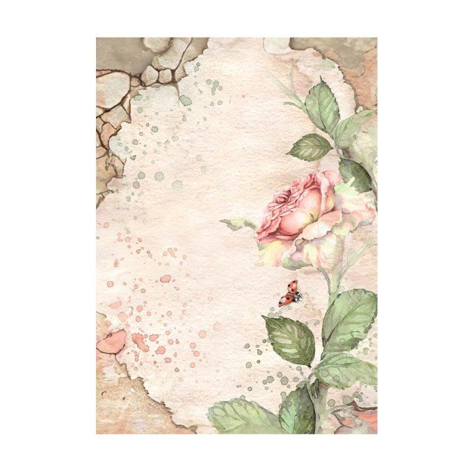 8 Feuilles de riz, Stampéria, Format A6 (10.5x14.8cm) - House of roses