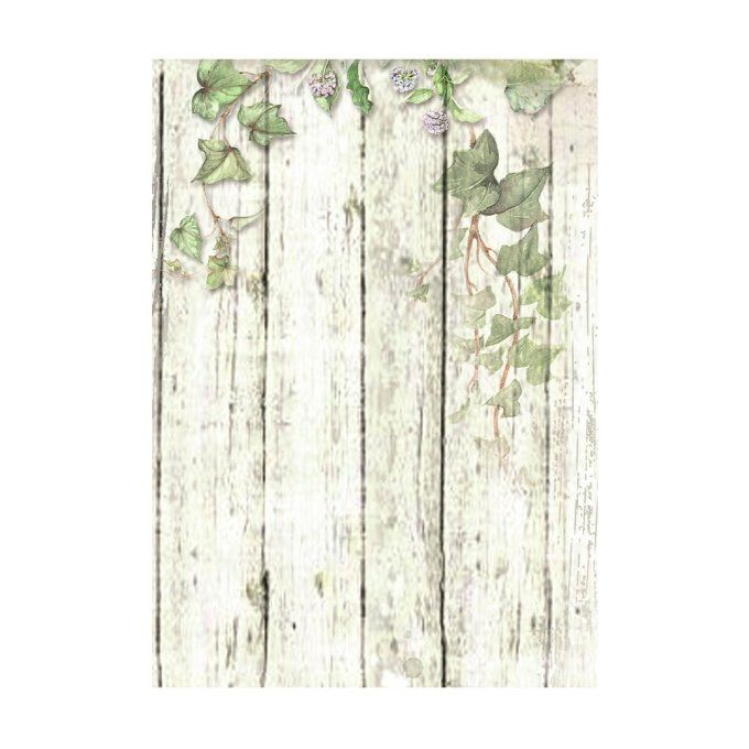 8 Feuilles de riz, Stampéria, Format A6 (10.5x14.8cm) - House of roses