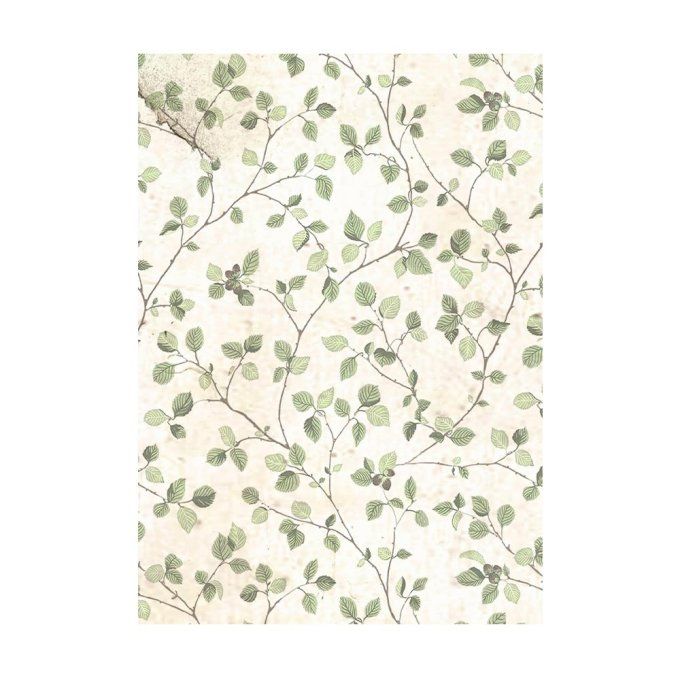 8 Feuilles de riz, Stampéria, Format A6 (10.5x14.8cm) - House of roses